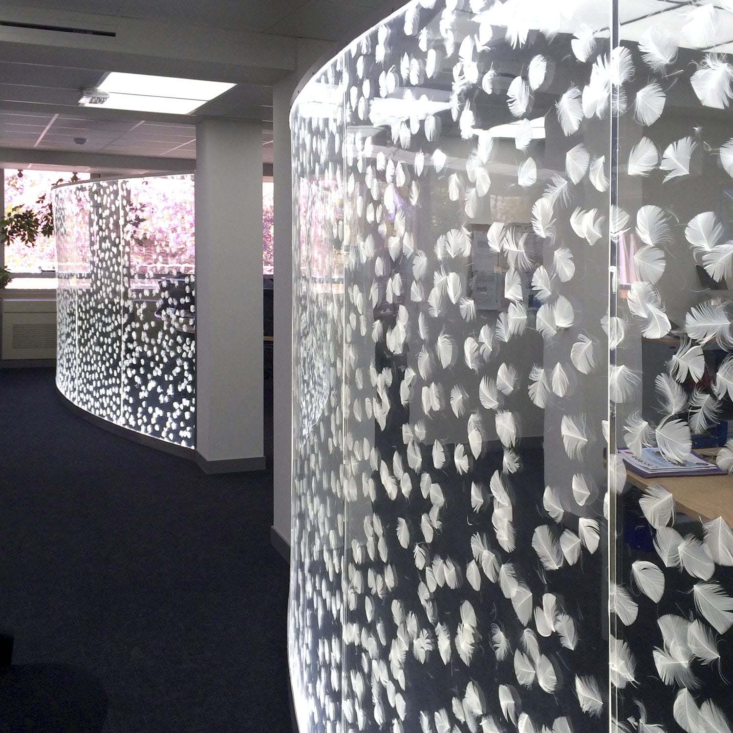 High-Quality Acrylic Sheets | DanimMark